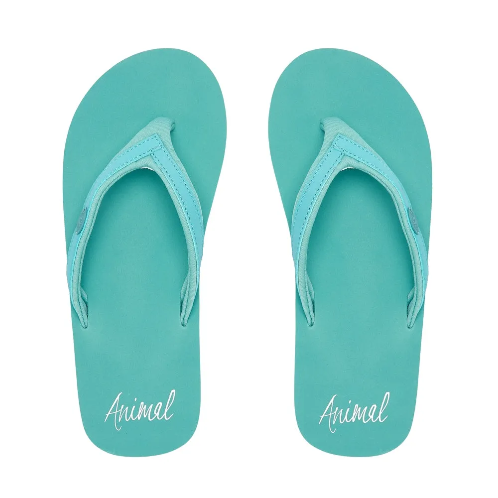 Animal Womens Swish Slim Block Flip Flops  - Canton Green