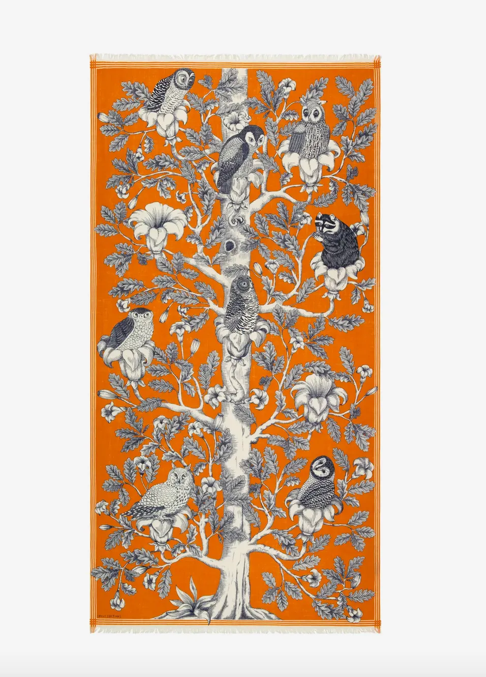 Etole 100 Archimede Scarf in Orange