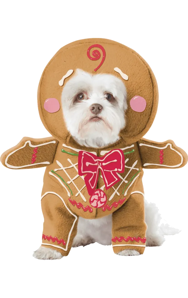Gingerbread Dog Costume