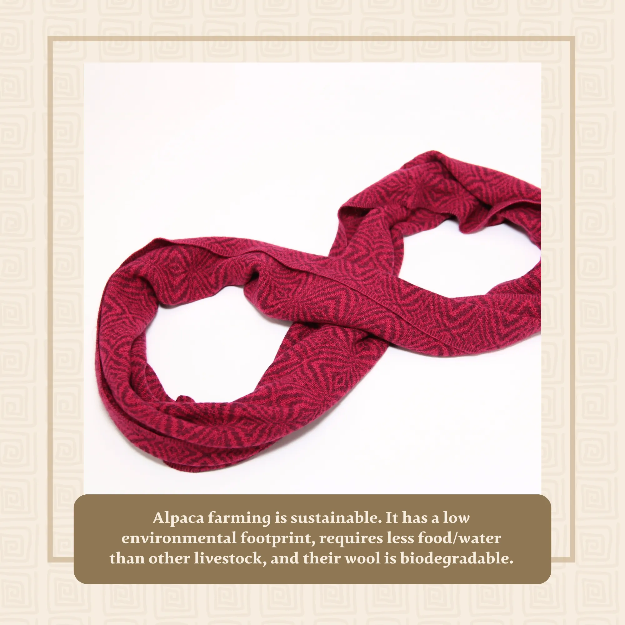 Light Red Alpaca Infinity Scarf