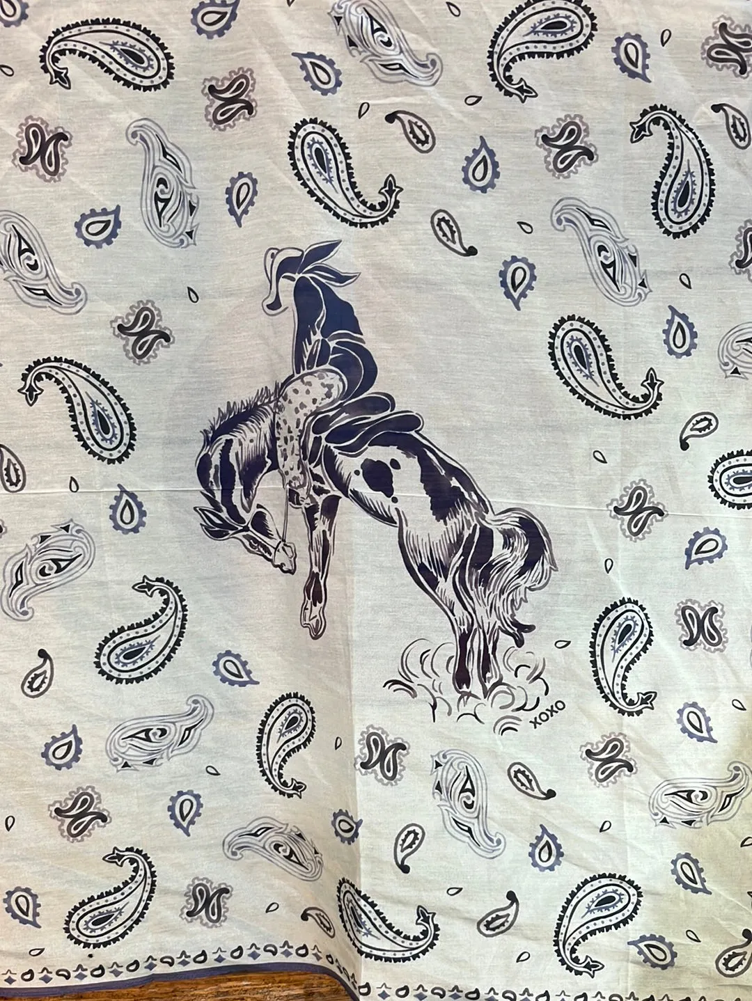 Made in Texas Wildrag Scarves