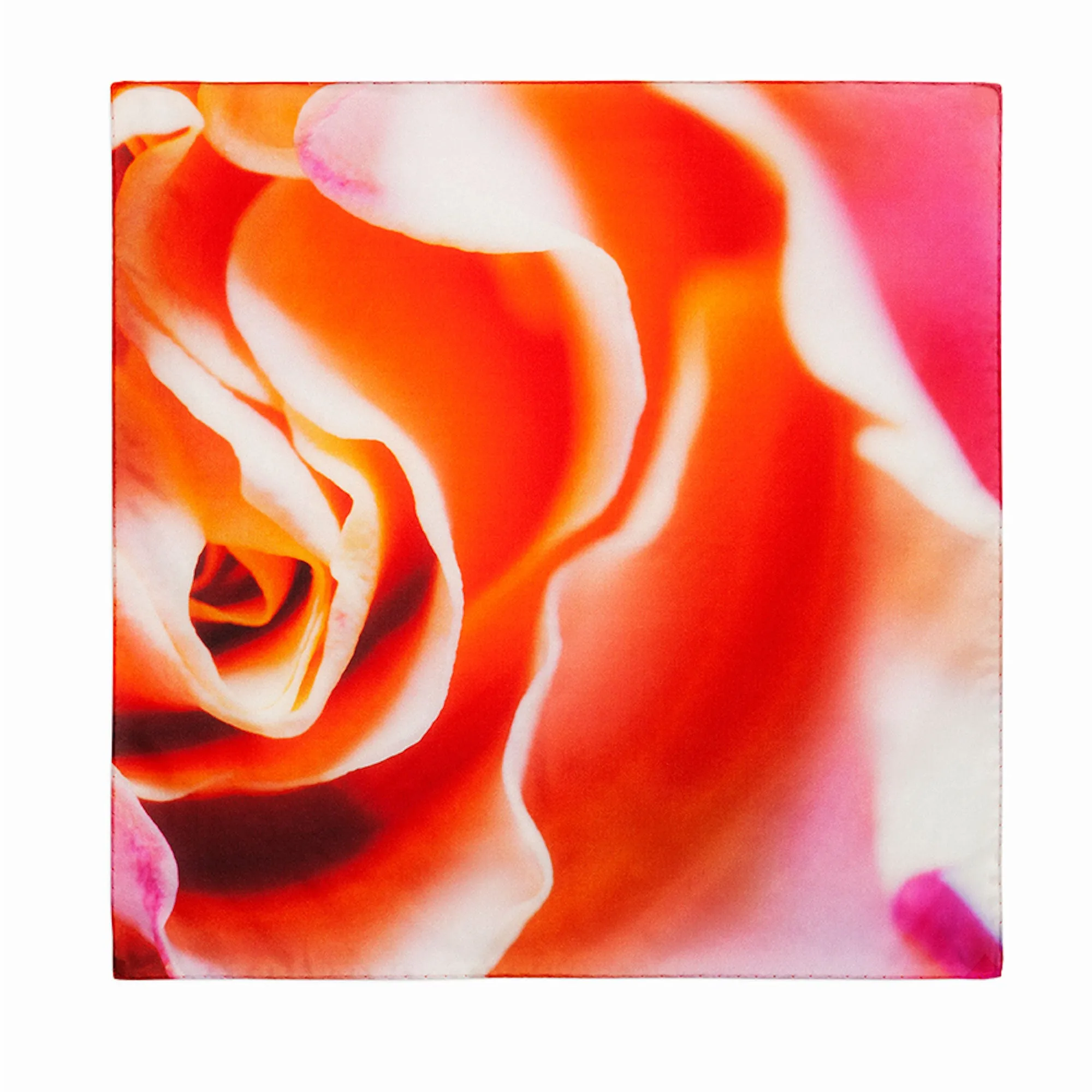 Special Edition Rose Hypnosis Silk Stole Scarf