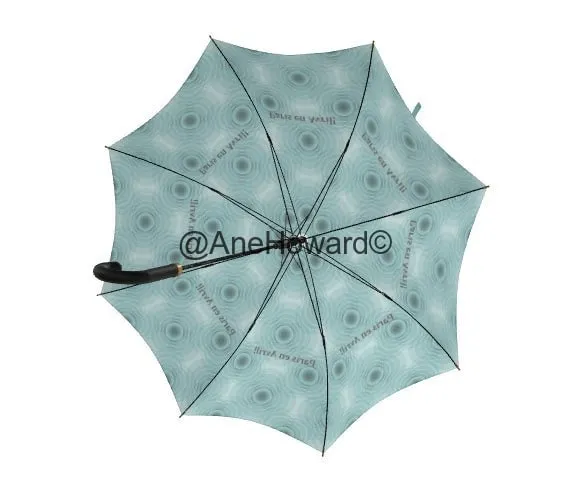 Umbrella Raindrops