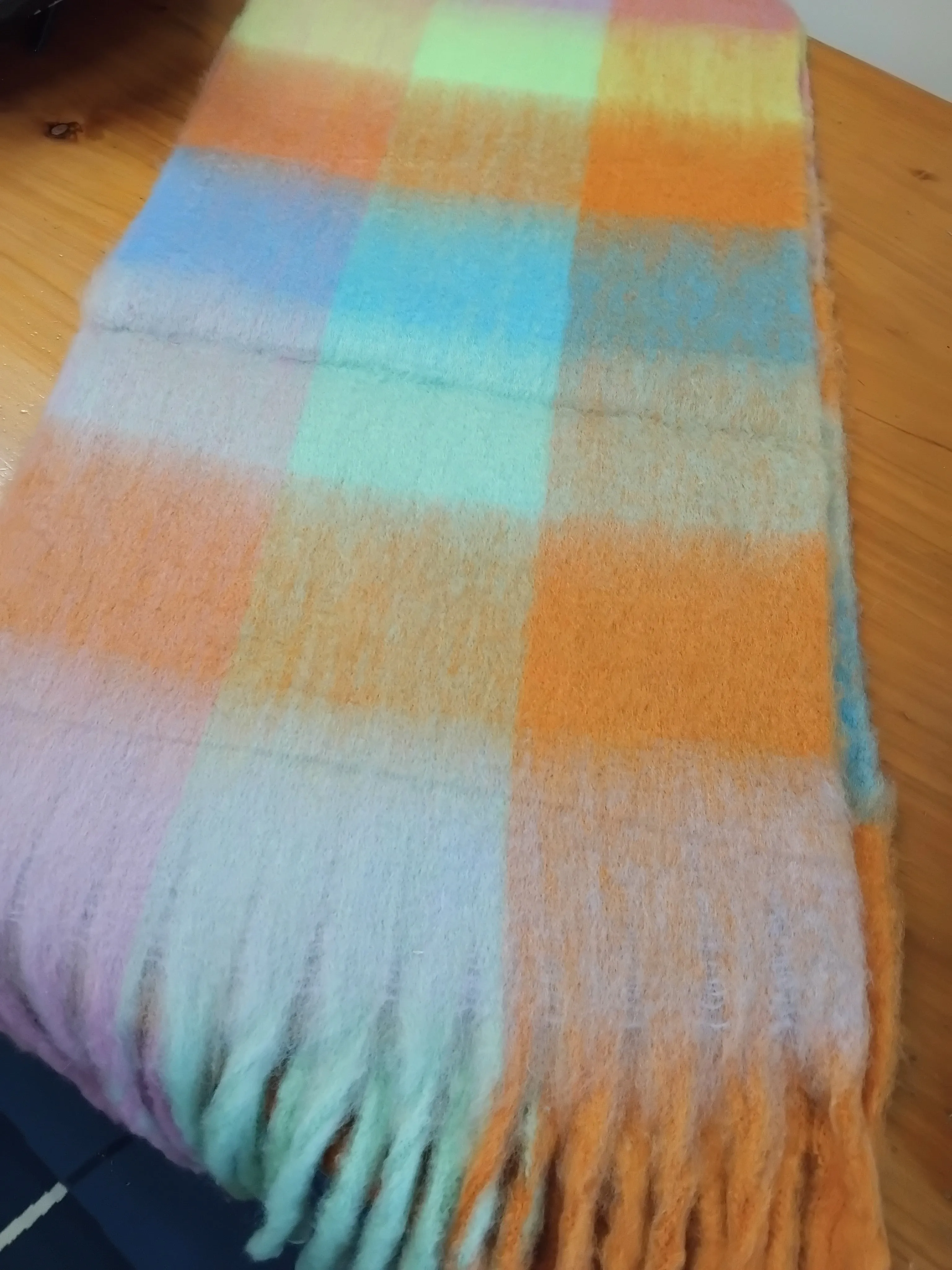 Winter Check Long Tassel Scarf ~ Sal